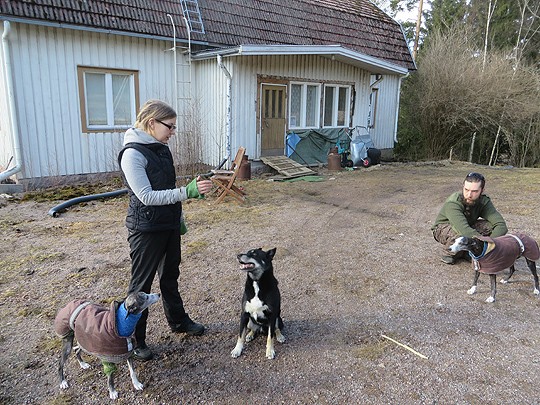 kaan hyvin vastaan. Taustalla tilan päärakennus.