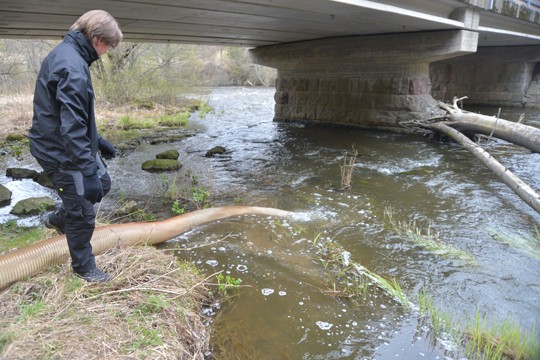 Runsaan kymmenen sentin mittaiset lohenpoikaset ovat putkessa matkalla Kiskonjokeen. Ely-keskuksen kalastusmestari Juhani Salmi oli vastaanottajana.