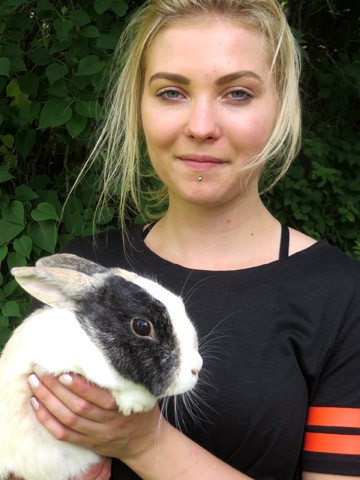 Maija Sunin kuusivuotias Ada-kani on antanut jo tilaa nuoremmilleen estehyppääjänä.