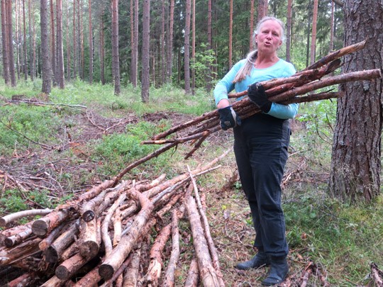 Tuire Sinervon kunto kasvaa metsässä.