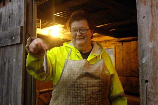 Soili Hyväristä huvitti syystäkin viime lauantain ”silakkasaalis”.