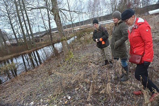 Rantapusikosta aiotaan raivata rantapuisto. Maija Rautamäki, Stina Suutari ja Marja-Sisko Ranta tekivät Teijon rannassa pikakatselmuksen tiistaiaamuna.