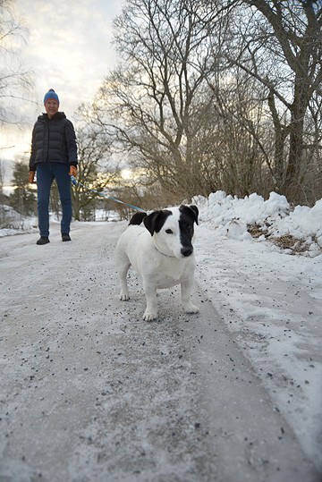 Tieisännöitsijän palvelukset voivat olla oikea ratkaisu, jos yksityistiekunnassa ei ole mahdollisuuksia esimerkiksi tiekunnan paperitöihin, sanoo Inga-Lill Hassel. Kuvassa on pätkä yksityistietä Kiskon Kärkelässä.