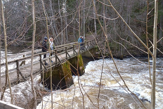 Kiskonjoki kuohuu kohti koskea. Sillalla maisemia katselevat WWF:n Jussi Nikula ja Elyn Pinja Kasvio ja kauempana WWF:n Matti Ovaska ja Manu Vihtonen.