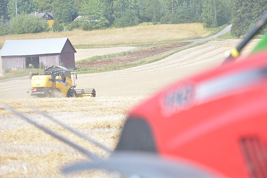 Ruista talteen. Janne Järvelä oli puimurin puikoissa Skotlannintien varressa.