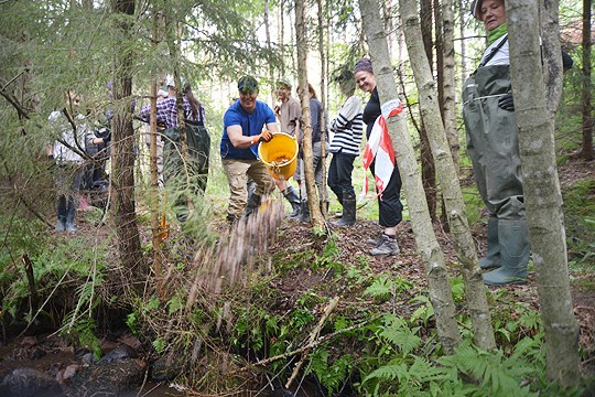 Soraa puroon. Kiskonjokivesistöä kunnostavan Freshabit Life-hankkeen aluekoordinaattori Tapio van Ooik näyttää mallia.
