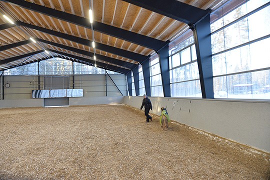 Minna Österholmin kanssa maneesia esittelee tanskandoggi Olli.