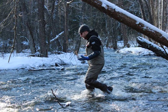 Valonian vesiasiantuntija Jussi Aaltonen vie mätirasiaa jokeen. Kuva Janne Tolonen.