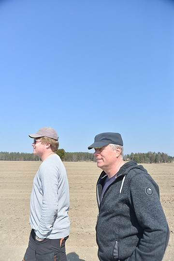 Perunan istutusta seuraa multaus. Olli ja Matti Kipinoinen toteavat, että perunalle paras kesä on ilmoiltaan lämmin, mutta säännöllisiä yösateita saisi olla.