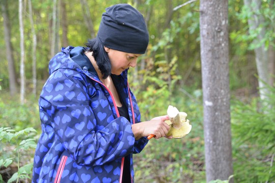 Annaliisa Salmelin puhdistaa sienet heti metsässä.