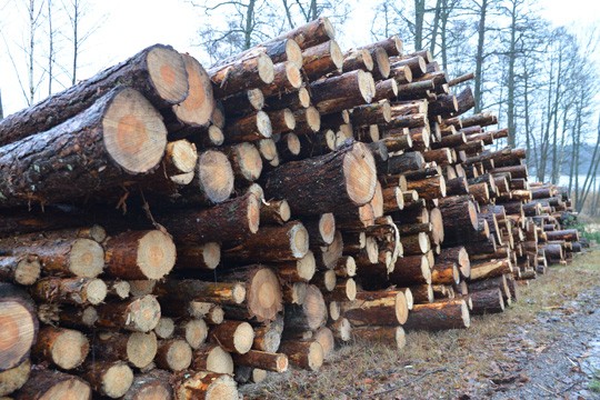 Kelirikko on kiusannut puunajoa tänä talvena.