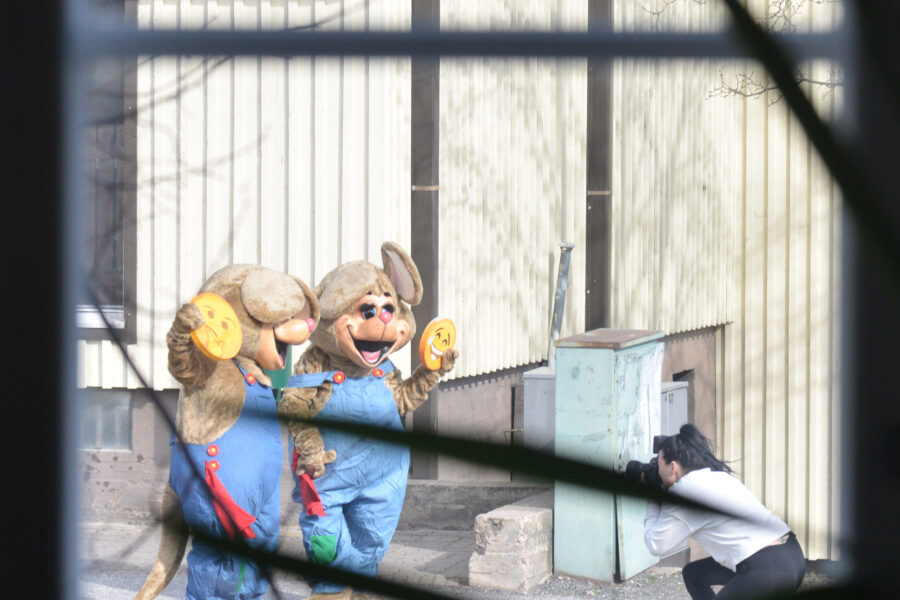 Narikan nuoriso-ohjaajat tekivät vielä tiistaina videon, missä hiiret hyppivät Narikassa pöydille. Hiirinä Erja Alander ja Elisa Paavola, kuvia otti Marika Kiviharju.