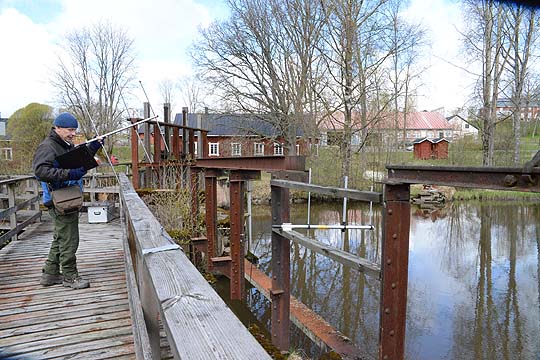 Kala- ja vesitutkimuksen Oy:n tutkija Petri Karppinen kuuntelee vastaanottimen ja kaloissa olevien radiolähettimien avulla Koskenkosken voimalaitospadolla vapautettuja lohenpoikasia.