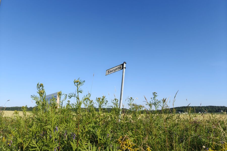 Kuvassa näkyy Sauruntien kyltti.